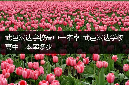 武邑宏达学校高中一本率-武邑宏达学校高中一本率多少