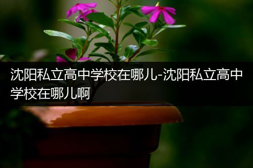 沈阳私立高中学校在哪儿-沈阳私立高中学校在哪儿啊