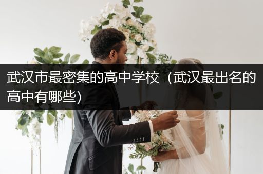 武汉市最密集的高中学校（武汉最出名的高中有哪些）