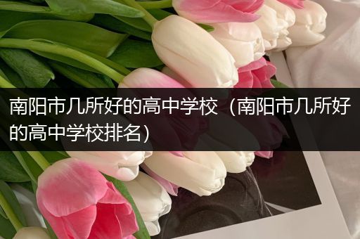 南阳市几所好的高中学校（南阳市几所好的高中学校排名）