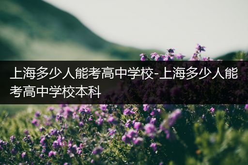 上海多少人能考高中学校-上海多少人能考高中学校本科