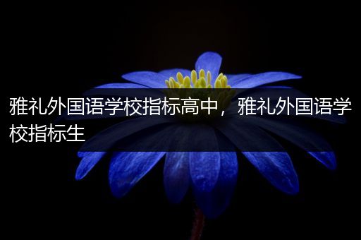 雅礼外国语学校指标高中，雅礼外国语学校指标生