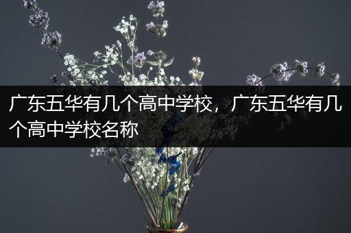 广东五华有几个高中学校，广东五华有几个高中学校名称