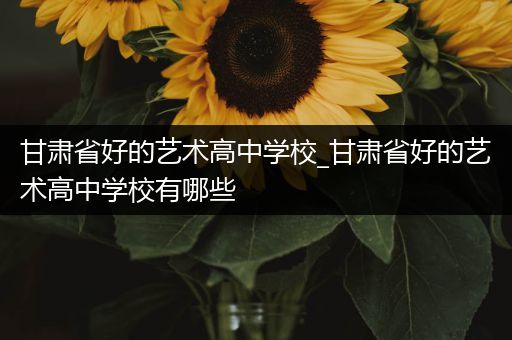 甘肃省好的艺术高中学校_甘肃省好的艺术高中学校有哪些