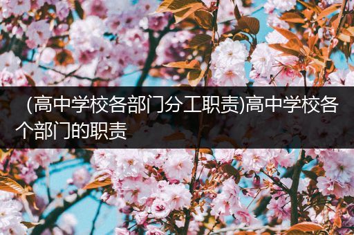 （高中学校各部门分工职责)高中学校各个部门的职责