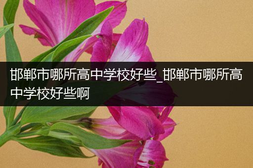 邯郸市哪所高中学校好些_邯郸市哪所高中学校好些啊