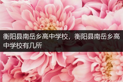 衡阳县南岳乡高中学校，衡阳县南岳乡高中学校有几所