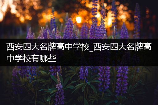 西安四大名牌高中学校_西安四大名牌高中学校有哪些