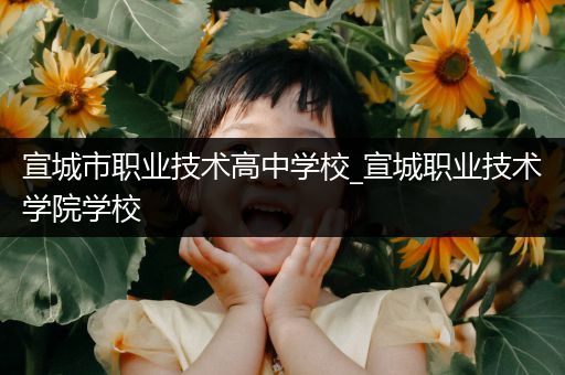 宣城市职业技术高中学校_宣城职业技术学院学校