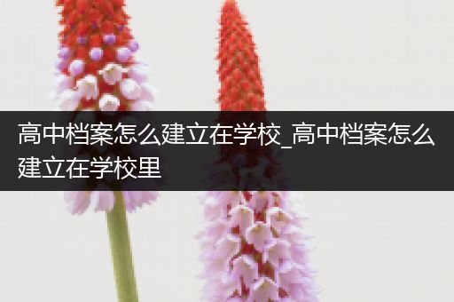 高中档案怎么建立在学校_高中档案怎么建立在学校里