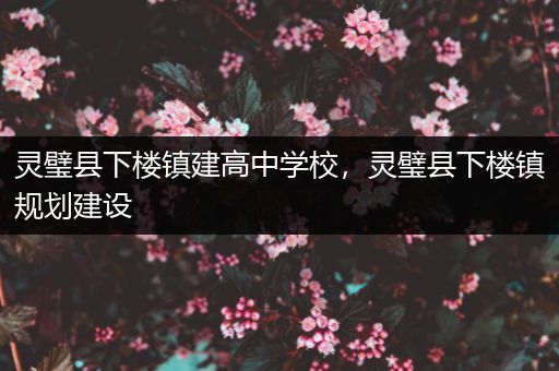灵璧县下楼镇建高中学校，灵璧县下楼镇规划建设