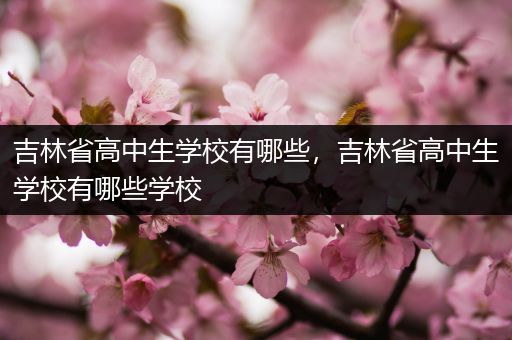 吉林省高中生学校有哪些，吉林省高中生学校有哪些学校