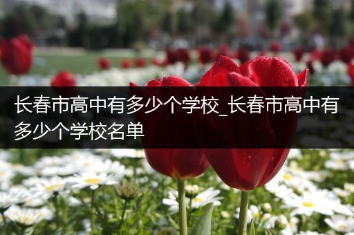 长春市高中有多少个学校_长春市高中有多少个学校名单
