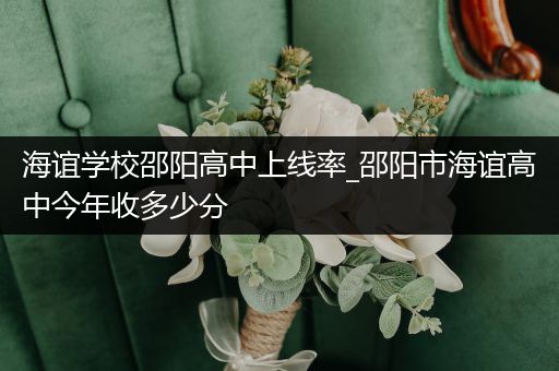 海谊学校邵阳高中上线率_邵阳市海谊高中今年收多少分