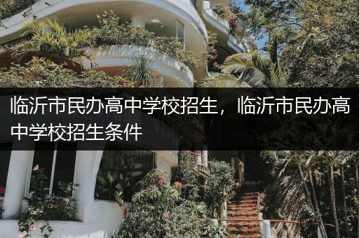 临沂市民办高中学校招生，临沂市民办高中学校招生条件