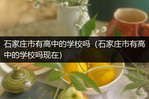 石家庄市有高中的学校吗（石家庄市有高中的学校吗现在）