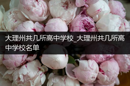 大理州共几所高中学校_大理州共几所高中学校名单