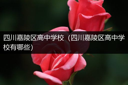 四川嘉陵区高中学校（四川嘉陵区高中学校有哪些）
