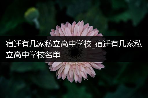 宿迁有几家私立高中学校_宿迁有几家私立高中学校名单