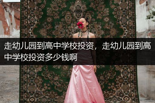 走幼儿园到高中学校投资，走幼儿园到高中学校投资多少钱啊