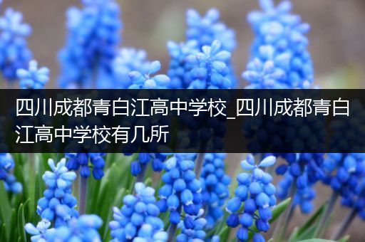 四川成都青白江高中学校_四川成都青白江高中学校有几所