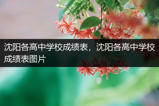 沈阳各高中学校成绩表，沈阳各高中学校成绩表图片