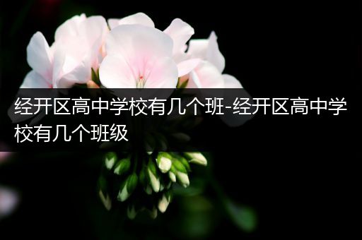 经开区高中学校有几个班-经开区高中学校有几个班级