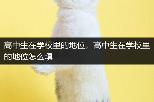 高中生在学校里的地位，高中生在学校里的地位怎么填