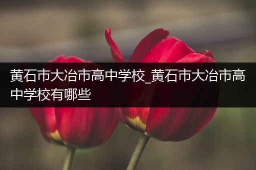 黄石市大冶市高中学校_黄石市大冶市高中学校有哪些