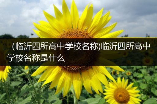 （临沂四所高中学校名称)临沂四所高中学校名称是什么