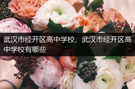 武汉市经开区高中学校，武汉市经开区高中学校有哪些