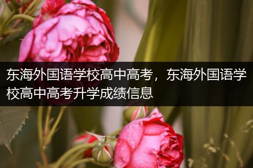 东海外国语学校高中高考，东海外国语学校高中高考升学成绩信息