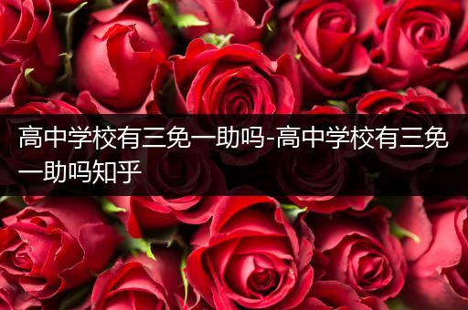 高中学校有三免一助吗-高中学校有三免一助吗知乎