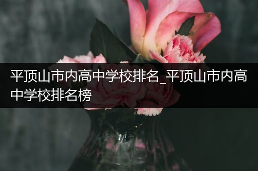 平顶山市内高中学校排名_平顶山市内高中学校排名榜