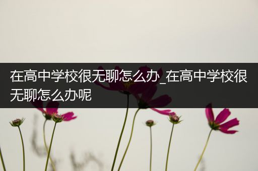 在高中学校很无聊怎么办_在高中学校很无聊怎么办呢