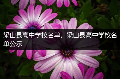 梁山县高中学校名单，梁山县高中学校名单公示