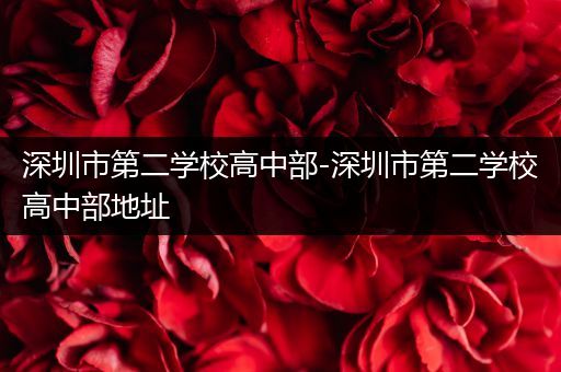 深圳市第二学校高中部-深圳市第二学校高中部地址