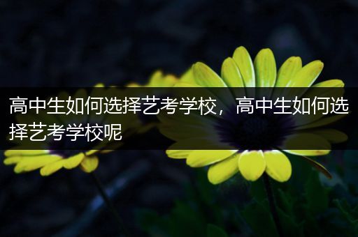 高中生如何选择艺考学校，高中生如何选择艺考学校呢