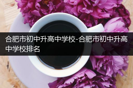 合肥市初中升高中学校-合肥市初中升高中学校排名