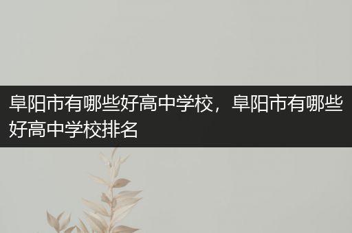 阜阳市有哪些好高中学校，阜阳市有哪些好高中学校排名