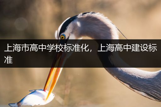 上海市高中学校标准化，上海高中建设标准