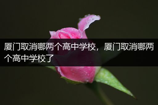厦门取消哪两个高中学校，厦门取消哪两个高中学校了