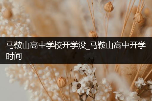 马鞍山高中学校开学没_马鞍山高中开学时间