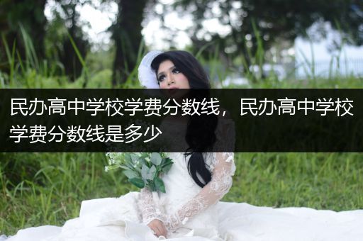 民办高中学校学费分数线，民办高中学校学费分数线是多少