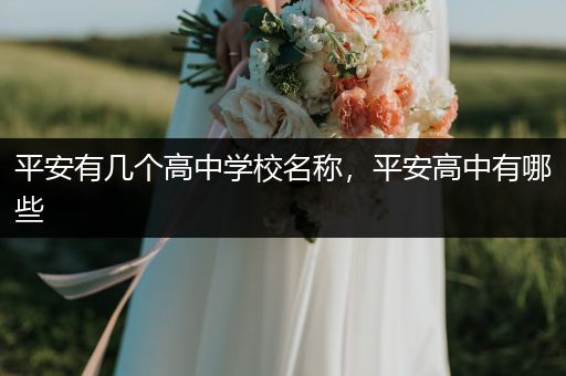 平安有几个高中学校名称，平安高中有哪些