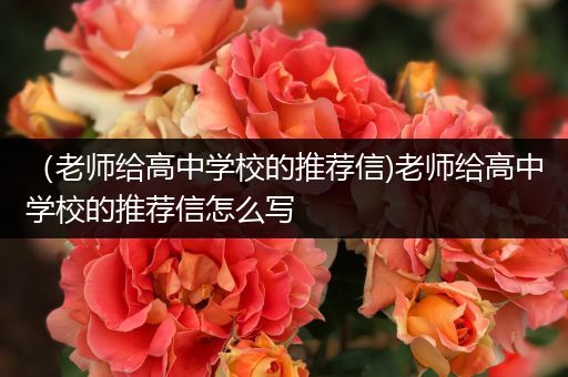 （老师给高中学校的推荐信)老师给高中学校的推荐信怎么写