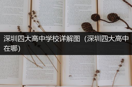 深圳四大高中学校详解图（深圳四大高中在哪）