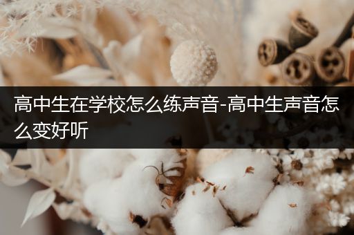 高中生在学校怎么练声音-高中生声音怎么变好听