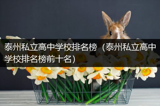 泰州私立高中学校排名榜（泰州私立高中学校排名榜前十名）