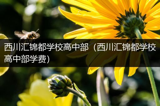 西川汇锦都学校高中部（西川汇锦都学校高中部学费）